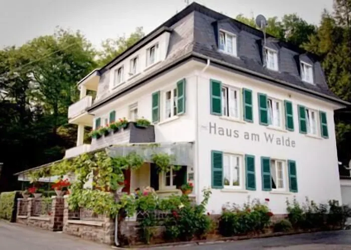 Hotel Peifer Brodenbach Speisekarte