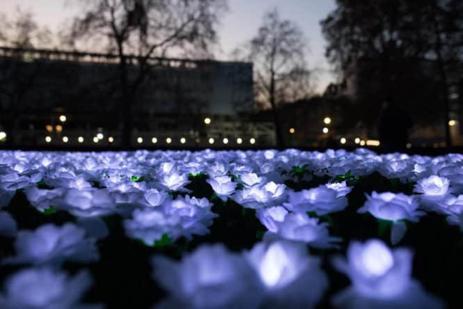 a view of the Ever After Garden - Grosvenors Square, Dec 2019