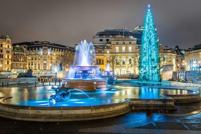 trafalgar christmas tree