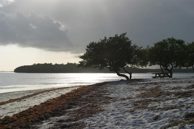 florida keys(1)
