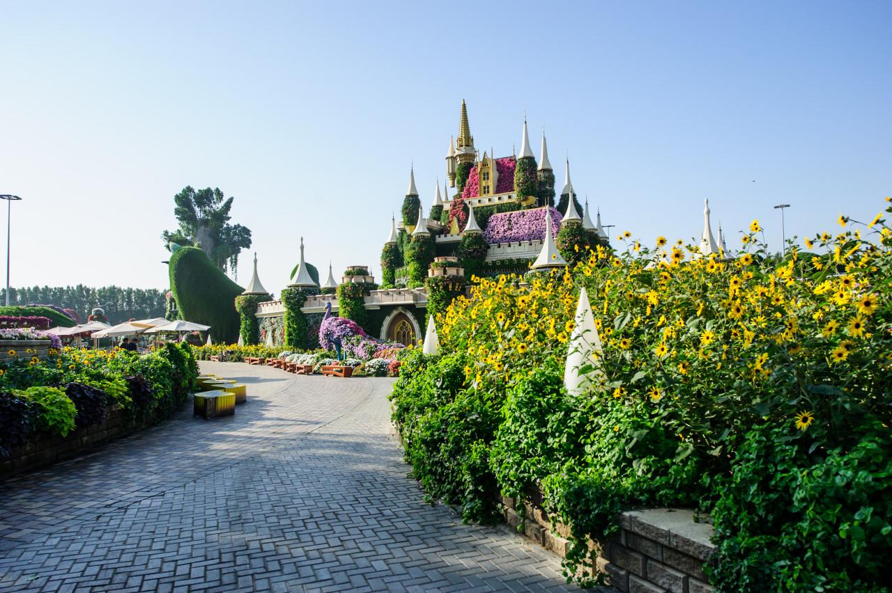 dubai uae march 28 dubai miracle garden uae febryary 16 2022 it has 45 million flowers