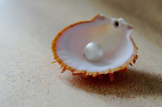 guscio strandperle spiaggia sabbia 1