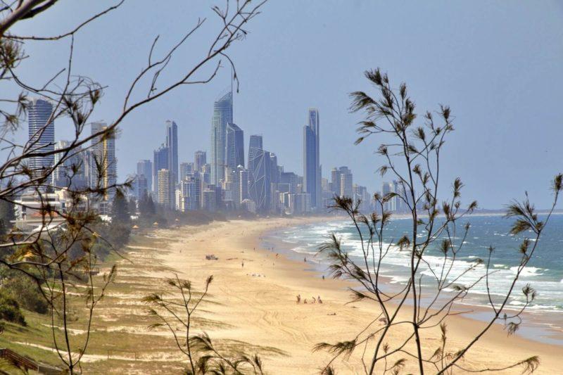 Gold Coast e gli alberi