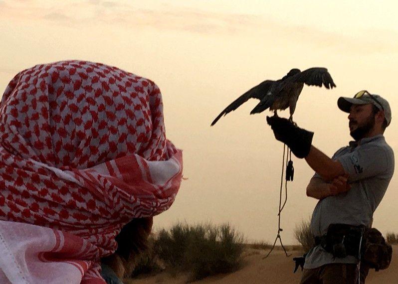Ammirare lo show di un falconiere nel deserto è un'esperienza da non perdere, Dubai.  ©Angelo Pittro/Lonely Planet Italia