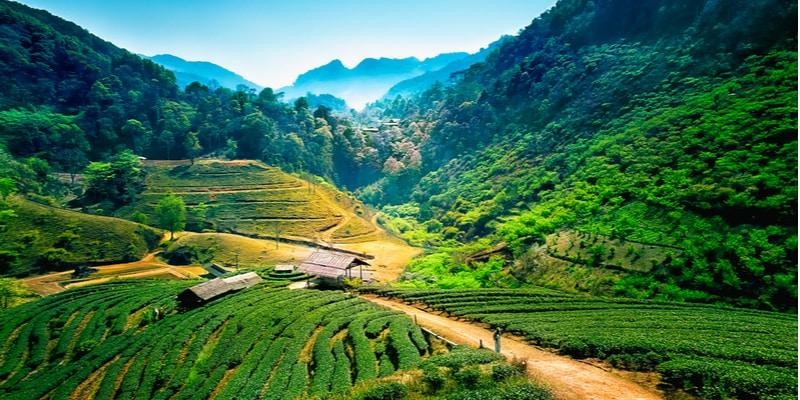 chiang-mai