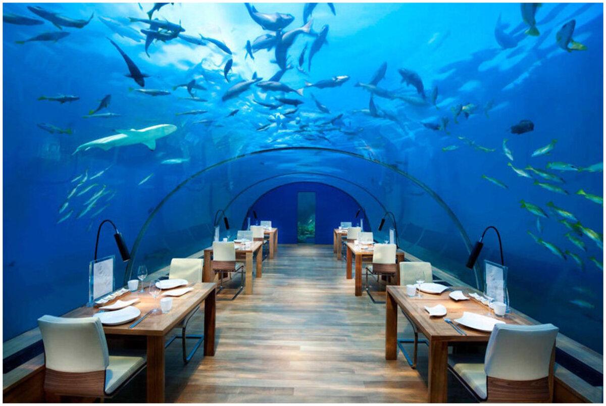 Palm Jumeirah Dubai: everything you need to know