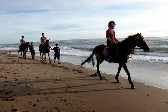 Bali Equestrian Centre