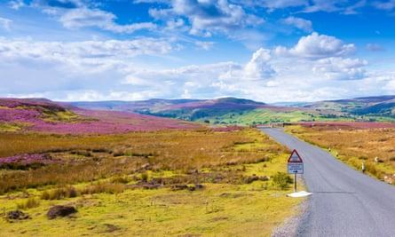 Road winding across Grinton Moor, North Yorkshire.