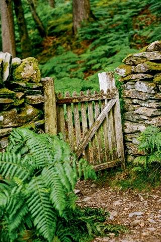The walking trail at Aberglaslyn managed by the National Trust takes ramblers along the Aberglaslyn gorge and through...
